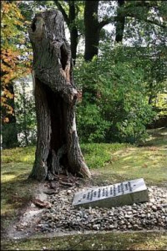 Ein hoher Baum. Davor ein liegender großer Stein mit Text. Sonne. 