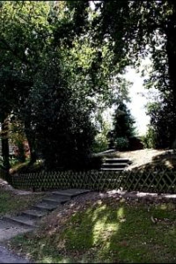 You can see the entrance. Several steps. A fence. High trees. Sun.