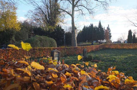 Blick über die Hecke auf den Friedhof