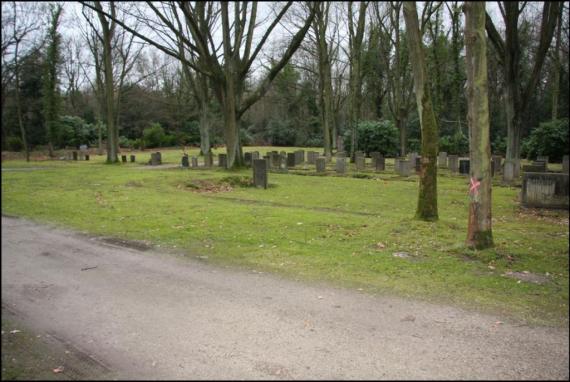 Man sieht eine Wiese mit vielen jüdischen Grabsteinen. Im Hintergrund Bäume.