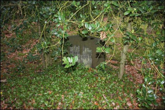 Single gravestones. Weathered. Under hedges and trees