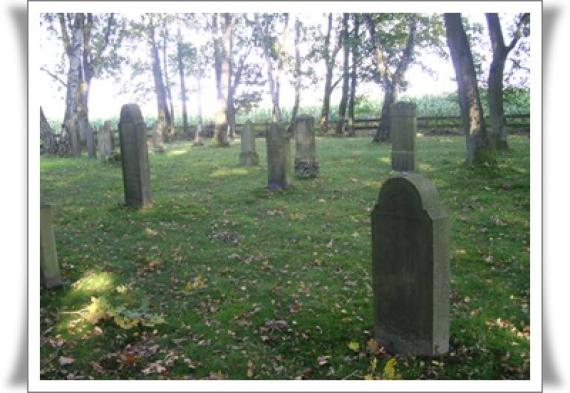 An overview of the Ottersberg cemetery. Single Jewish gravestones on a site with trees. The cemetery is surrounded by a fence.