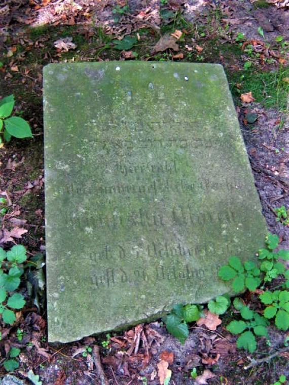 weathered mossy plane gravestone