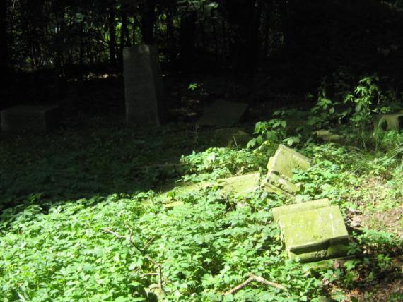 View of the grave of Jacob Fliess and grave fragments