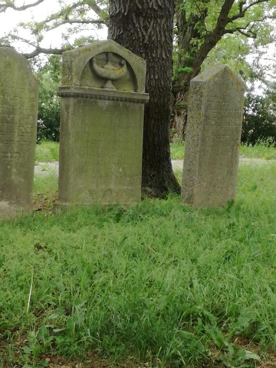 View of the front of three tombstones located on the right side of the path.