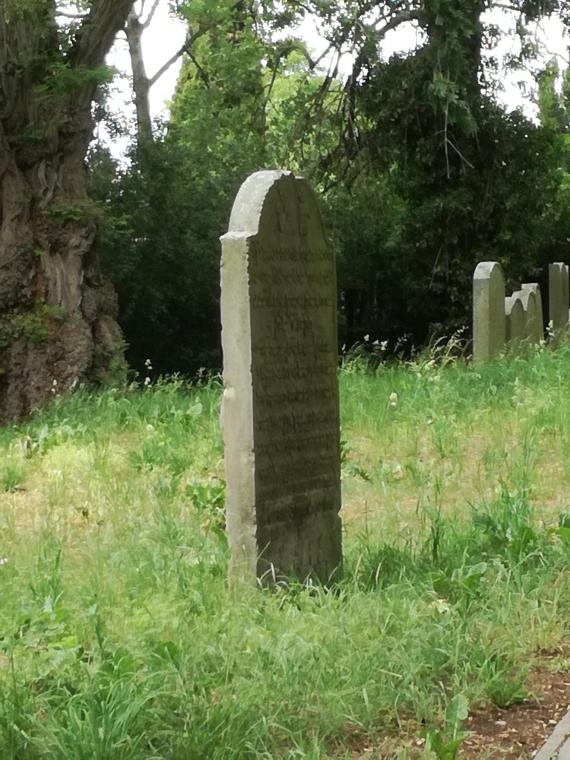 Blick auf eine Grabreihe auf der linken Seite des Weges, im Vordergrung befindet sich ein einzelner Grabstein