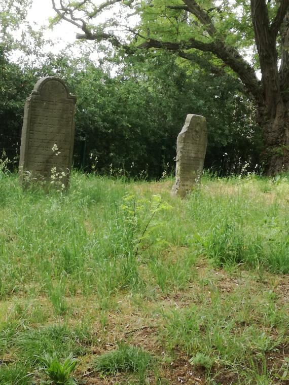 Blick auf zwei Grabsteine innerhalb des grasigen Geländes