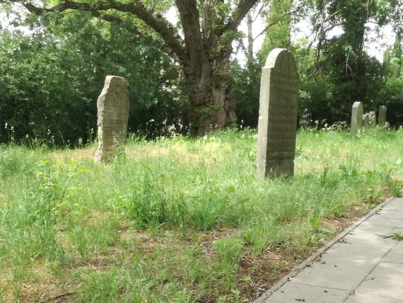 View of several graves on the left side of the paved road