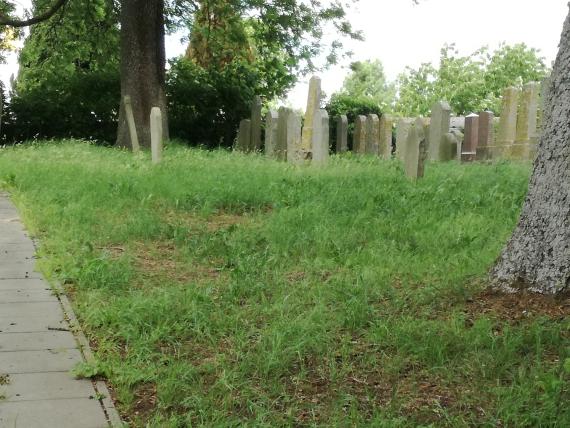 View of rows of graves on the right side of the paved road