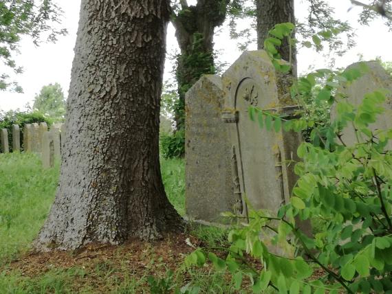 drei Grabsteine auf der rechten Seite des Eingangs - die Grabsteine stehen versteckt zwischen einem Baum und Büschen