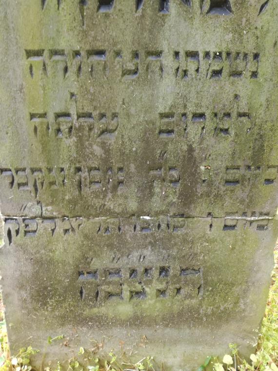 Teilansicht Vorderseite unterer Teil des Grabstein von D. Cohen