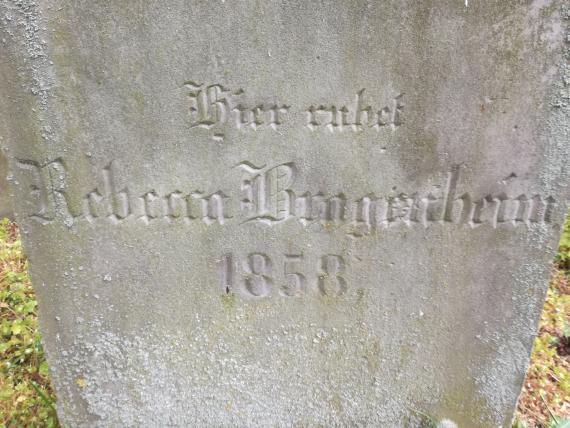 Rebecca Bragenheim - Rückseite