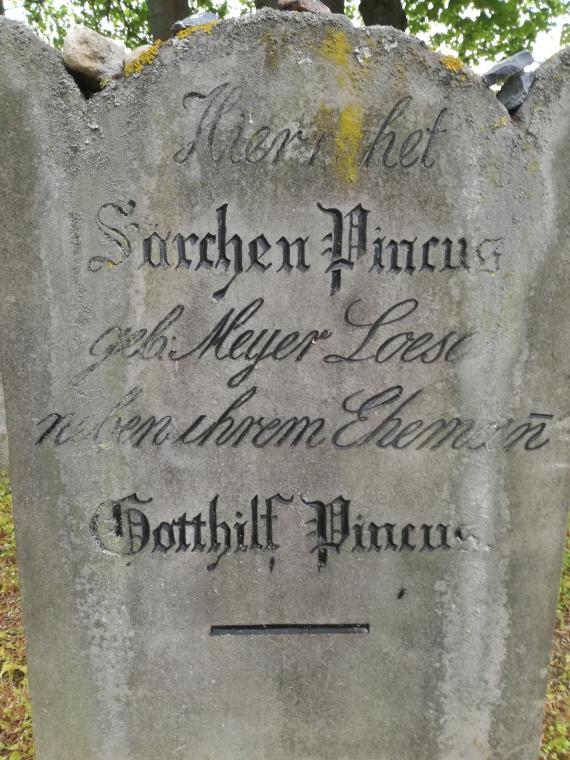 Särchen Pincus - Rückseite