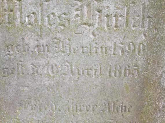 Suse Hirsch - Rückseite Detailansicht