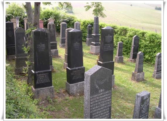 Zu sehen ist eine Farbfotografie von Grabsteinen auf dem jüdischen Friedhof in Bodenheim