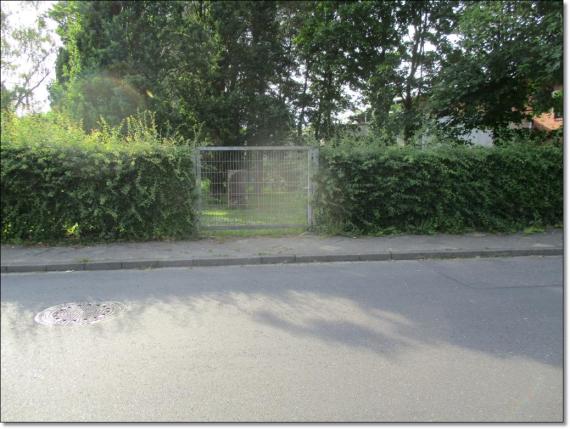 The gate of the cemetery. On both sides a hedge.