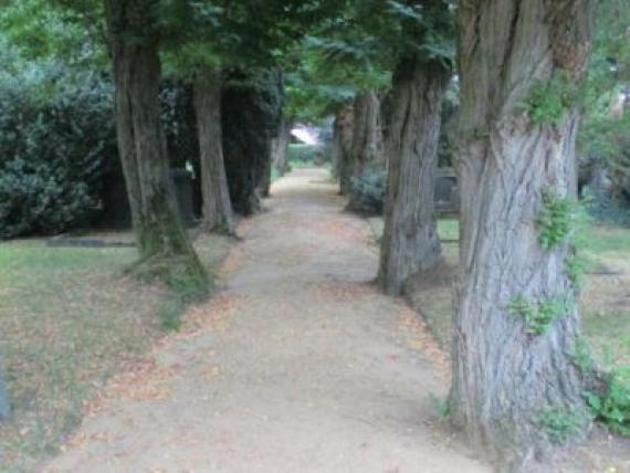 Der Weg auf dem Friedhof in Geldern wird links und recht von Bäumen gesäumt.