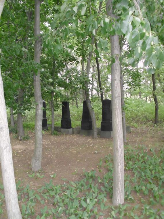 four black gravestones under trees in Friedland/NL