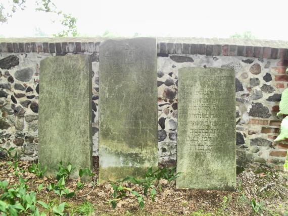 Jüdischer Friedhof Friedland/NL drei Grabsteine an der Mauer, ein Stein wohl Isaak? Friedländer geb. 13.02.1810 gest. 09.02.1872