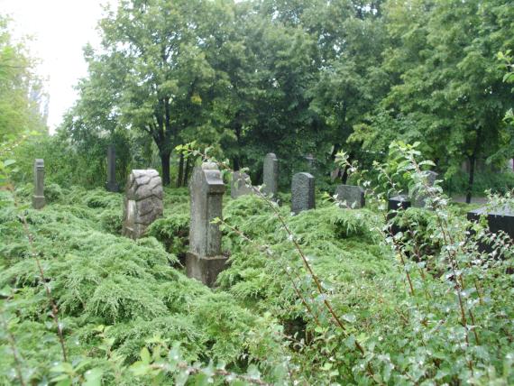 Grabsteine auf dem Friedhof Fürstenberg (Oder)