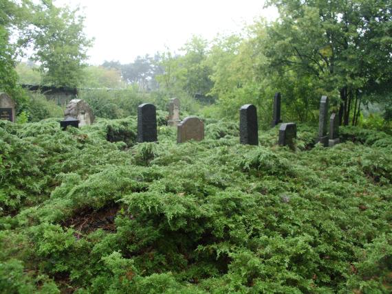 Gravestones at the Jewish cemetery Fürstenberg (Oder)