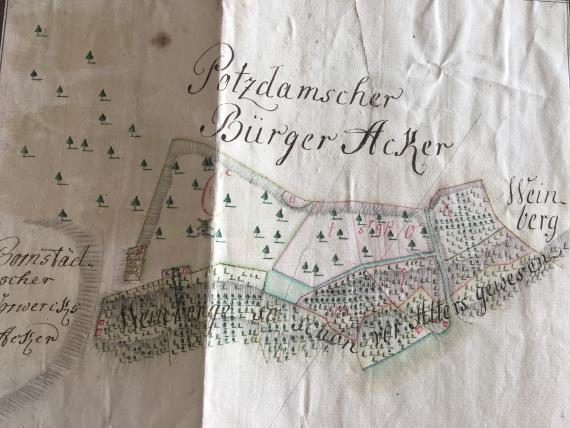 Auschnitt aus der Karte "Ausmessung der Potsdamer Kämmereiheide1753-1759"