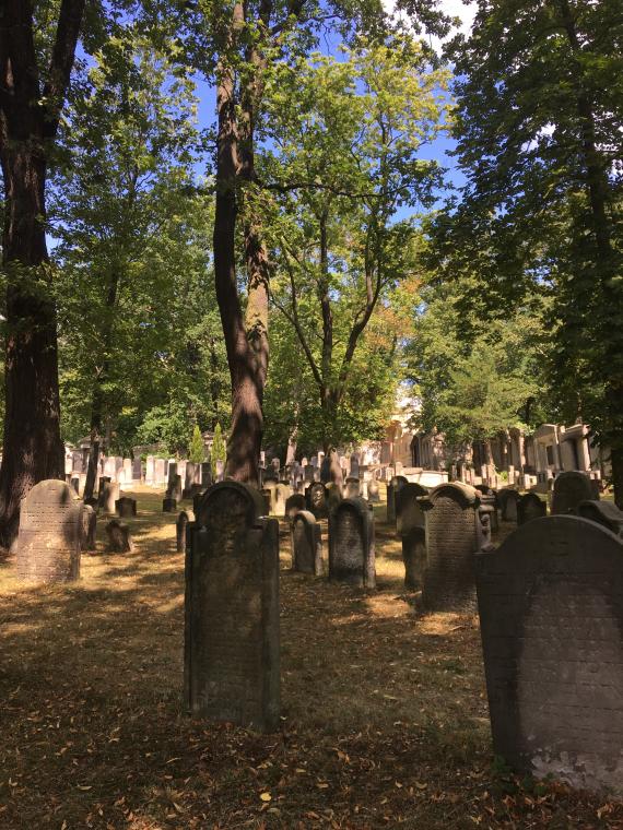 Jüdischer Friedhof Potsdam test