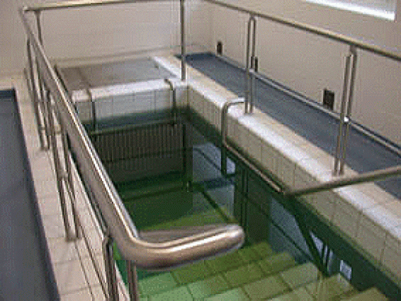 in gray tiled plunge pool with handrail