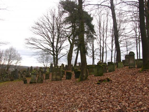 Photography of a slope covered with foliage with some gravestones and trees in the background.