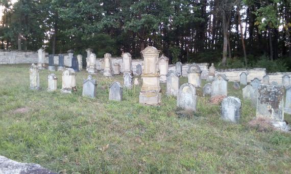 Recent photograph of a part of the Jewish cemetery in Authausen. You can see some gravestones in several rows on a lawn.