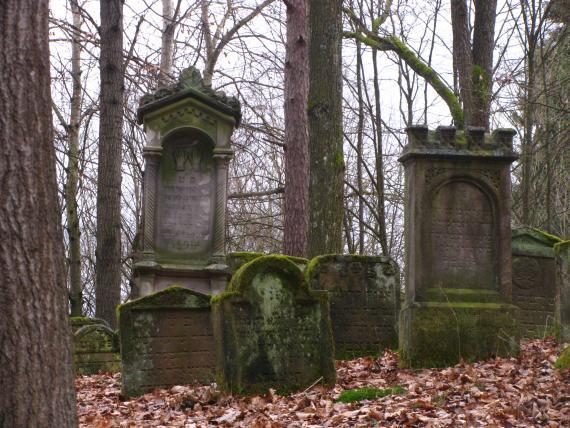 Mossy gravestones of different sizes on leafy ground. They stand in front of and between trees.