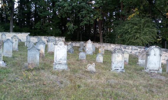 Recent photograph of a part of the Jewish cemetery in Authausen. You can see some gravestones in several rows on a lawn. In the background the cemetery wall can be seen