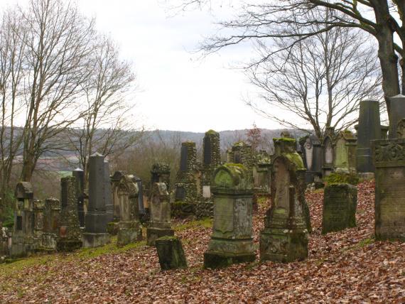 Slope covered with foliage with numerous gravestones. In the background trees and an adjacent forest can be seen.