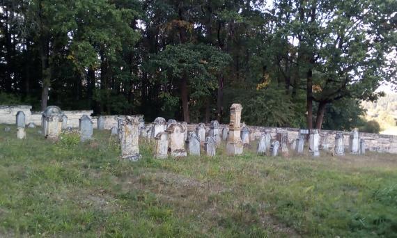 Recent photograph of a part of the Jewish cemetery in Authausen. You can see some gravestones in several rows on a lawn. In the background a piece of forest can be seen.