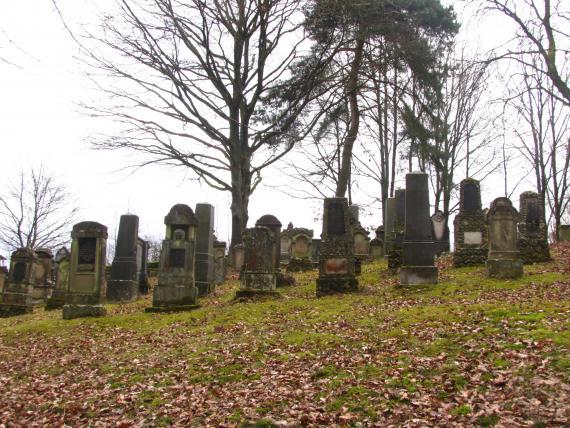 Grassed slope with gravestones placed in several rows. In the background you can see some trees