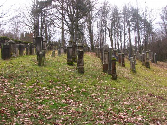 There is a wide grassy area with adjacent forest area. On the green area there are several gravestones in 7 rows.