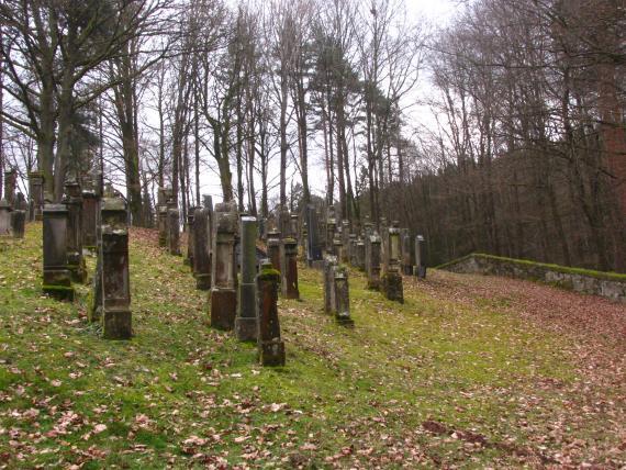 Auf der Fotografie sind einige Reihen mit Grabsteinen zu erkennen. Rechts sieht man die Friedhofsmauer und im Hintergrund ein angrenzendes Waldgebiet.