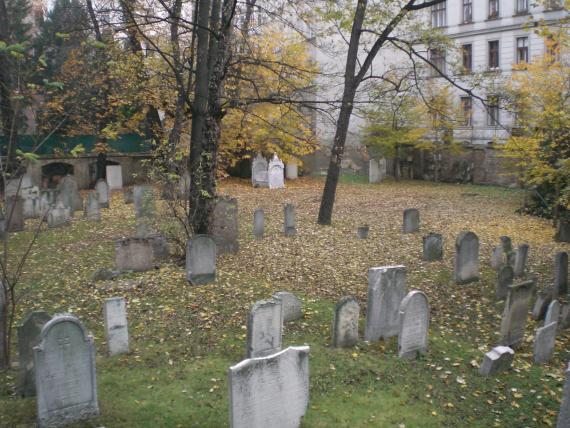Jewish Cemetery Seegasse 9 - 11, Vienna Grabsteine des ehemaligen Friedhofes hinter Bäumen