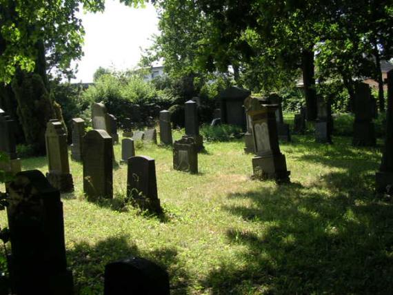 Some Jewish gravestones under trees.