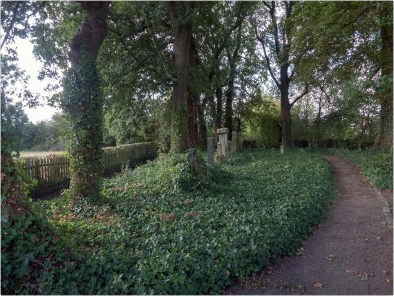 Auf der rechten Seite Bildes führt ein schmaler Weg durch den den Friedhof. Links davon, zwischen Weg und Zaun, stehen Bäume und einzelne Grabsteine auf dem dicht bewachsenen Boden.