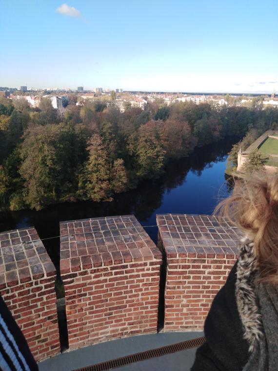 Blick über die Havel auf einen dichten Wald. Im Hintergrund sind Häuser Spandaus zu erkennen.