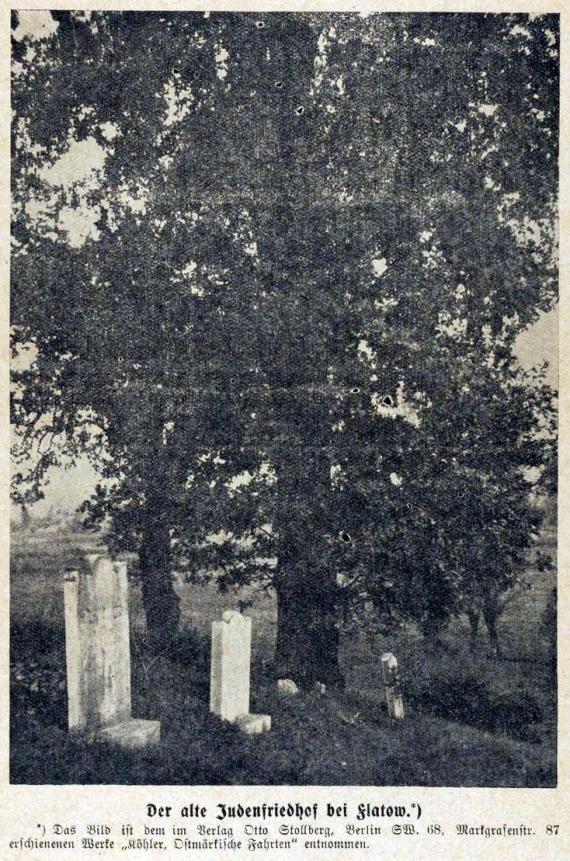 der alte Judenfriedhof bei Flatow der alte Judenfriedhof bei Flatow, Grabstätten unter einem Baum