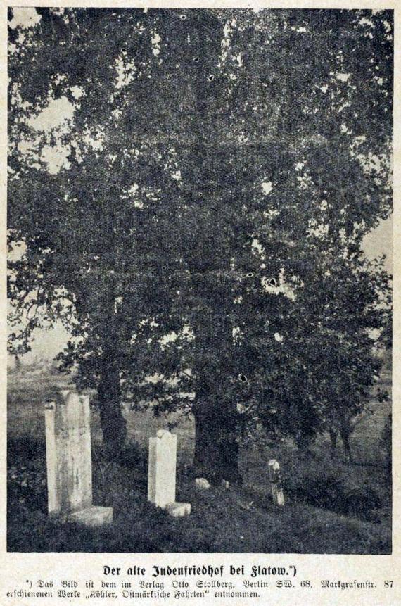 der alte Judenfriedhof bei Flatow, Grabstätten unter einem Baum