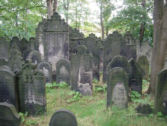Alter jüdischer Friedhof Hannover: Historische Grabsteine