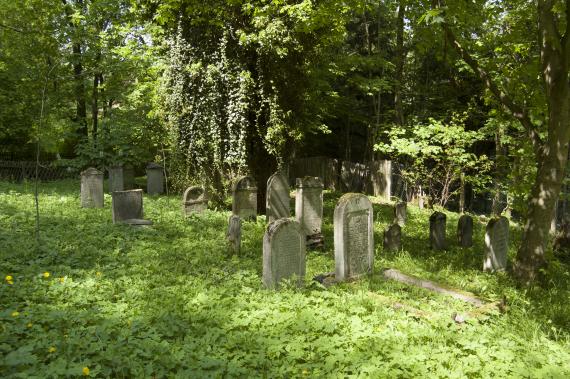 View of some tombstones