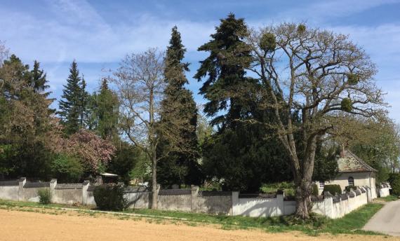 View of the Jewish cemetery in Öhringen in April 2019