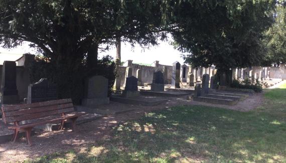 Jüdischer Friedhof in Öhringen im April 2019  -  Blick auf die Gräber