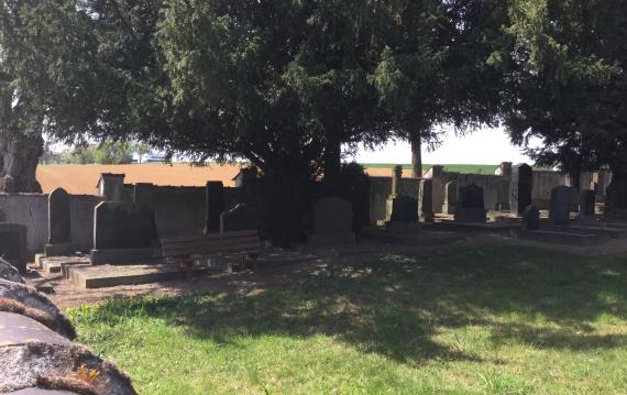 Jewish cemetery in Öhringen in April 2019 - view over the cemetery wall