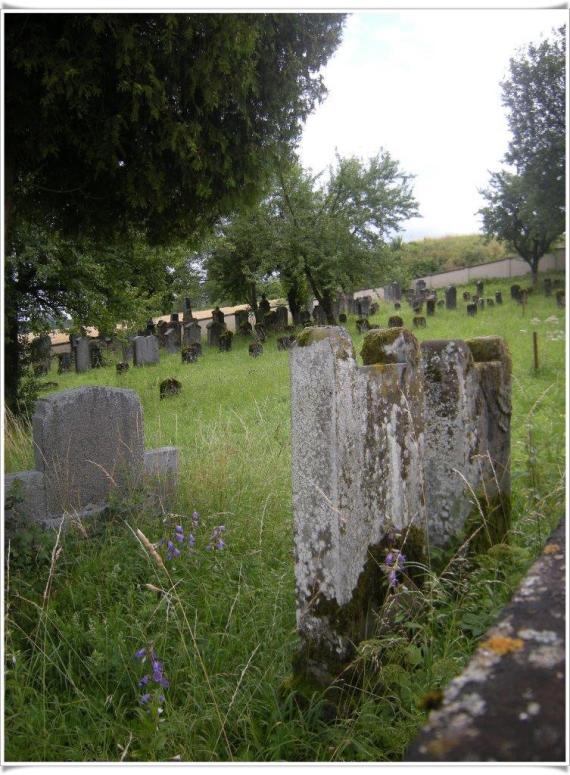 Grass. Three weathered stones in front. Behind many stones under trees. Gloomy