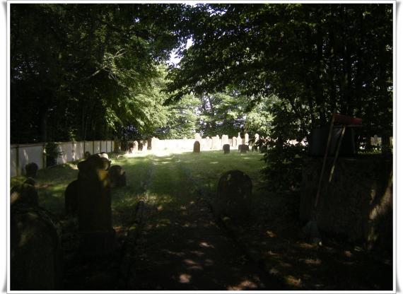 Image edges darkened by trees. In the center a bright spot. The sun shines on some gravestones.